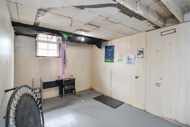 basement with wooden walls