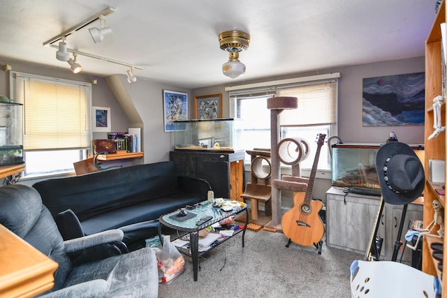 carpeted living room featuring rail lighting
