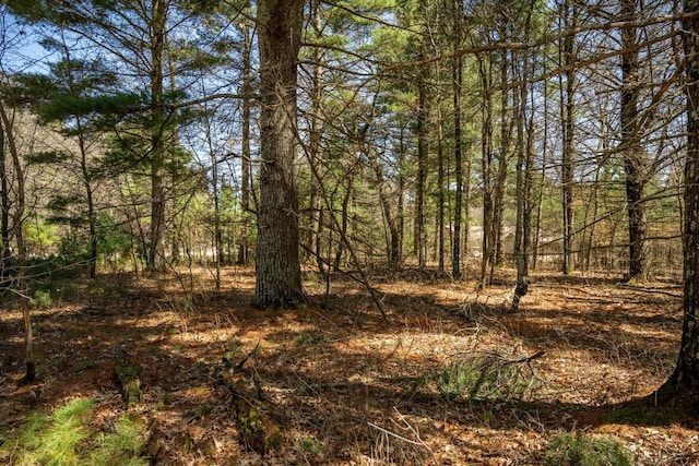 674 17th Dr, Nekoosa, WI 54457