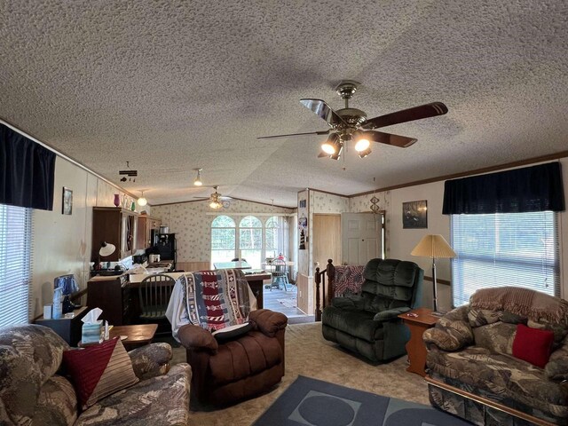 2080 Sauk St, Friendship, WI 53934 - living room with ornamental molding, wallpapered walls, a textured ceiling, a ceiling fan, and vaulted ceiling