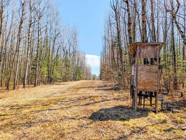 W7150 Maple Ridge Ln, Phillips, WI 54555 - view of road with a forest view