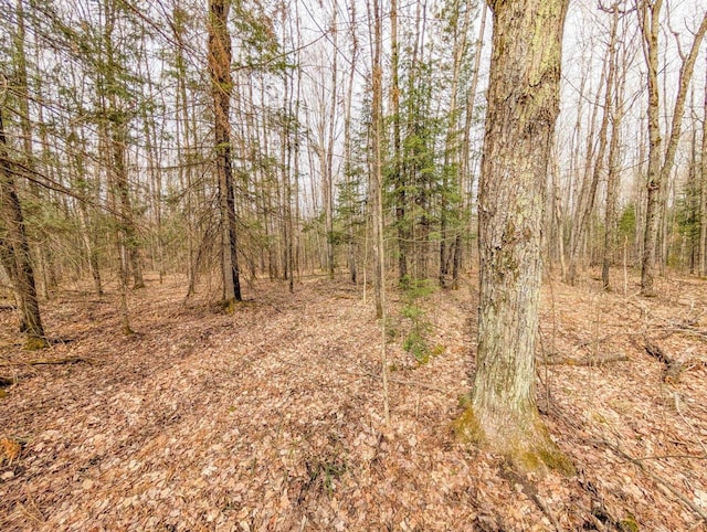 W7150 Maple Ridge Ln, Phillips, WI 54555 - view of landscape featuring a wooded view