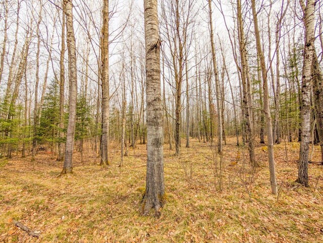 W7150 Maple Ridge Ln, Phillips, WI 54555 - view of landscape with a view of trees