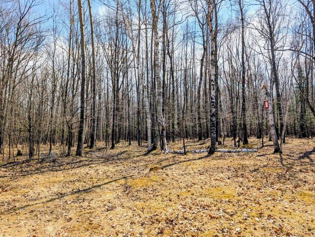 W7150 Maple Ridge Ln, Phillips, WI 54555 - view of nature