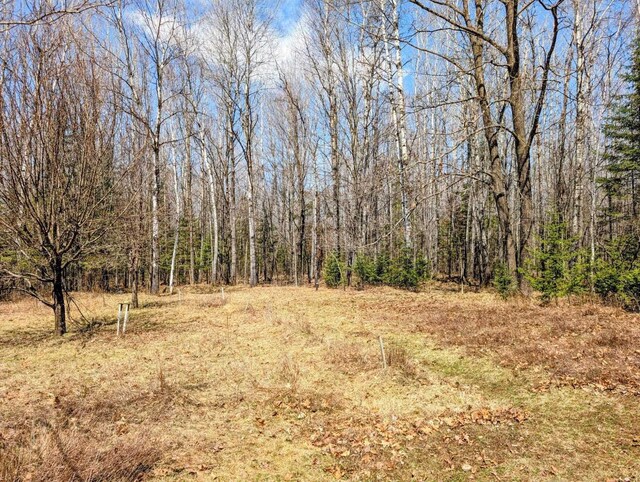W7150 Maple Ridge Ln, Phillips, WI 54555 - view of nature featuring a view of trees