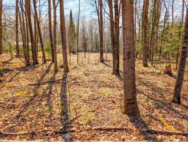 W7150 Maple Ridge Ln, Phillips, WI 54555 - view of nature