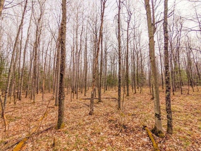 W7150 Maple Ridge Ln, Phillips, WI 54555 - view of nature with a forest view