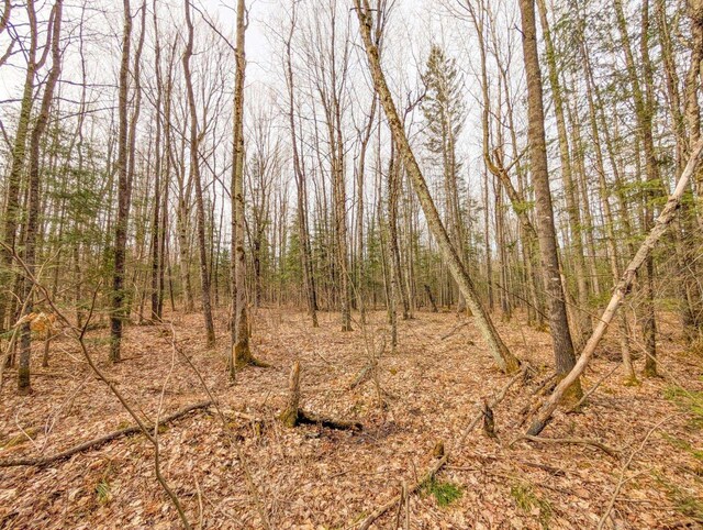 W7150 Maple Ridge Ln, Phillips, WI 54555 - view of landscape