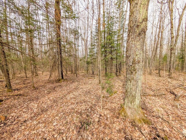 W7150 Maple Ridge Ln, Phillips, WI 54555 - view of nature with a forest view