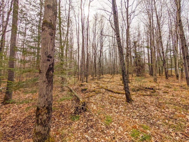 W7150 Maple Ridge Ln, Phillips, WI 54555 - view of landscape featuring a wooded view