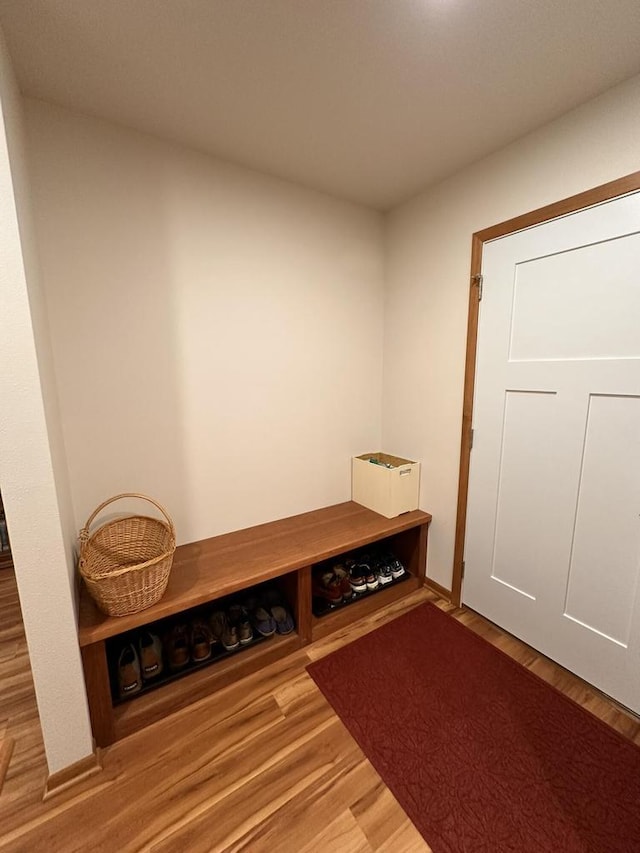 mudroom with light wood-type flooring