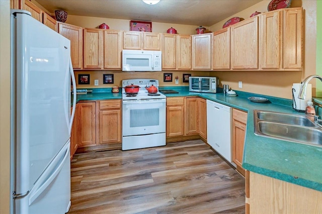 kitchen featuring light brown cabinetry, a sink, a toaster, light wood finished floors, and white appliances