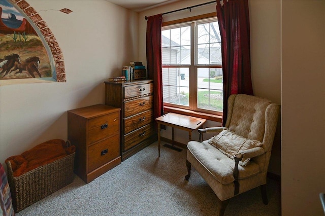 sitting room with carpet floors