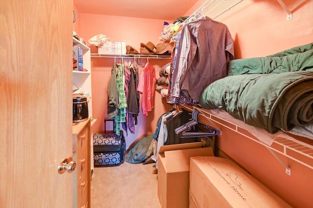 spacious closet with carpet