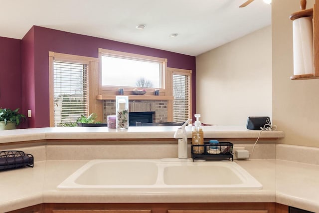 details featuring a sink and a fireplace