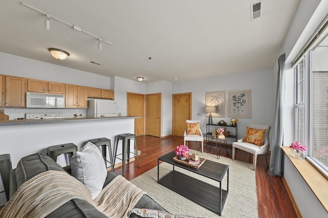 living area with track lighting, plenty of natural light, and dark wood-style floors