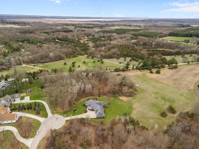 drone / aerial view
