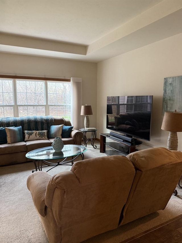 view of carpeted living area