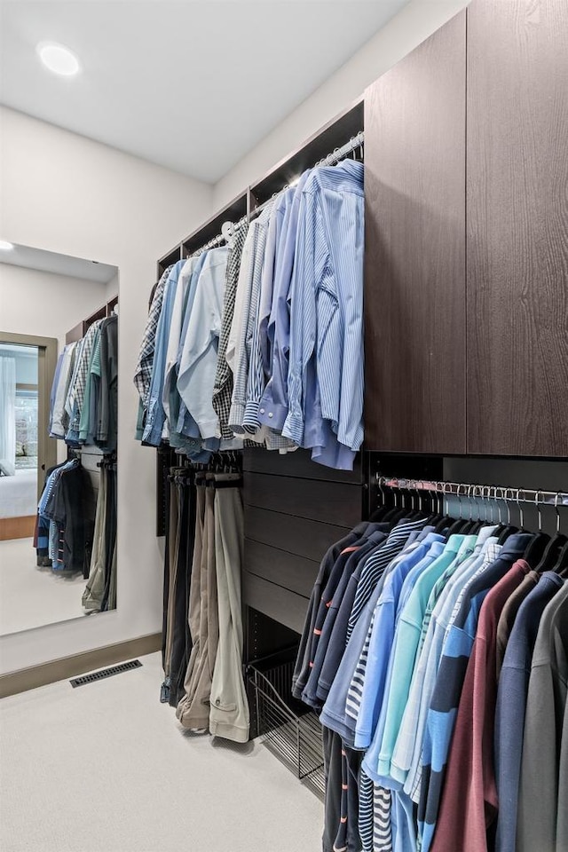 6667 S Chickahauk Trl, Middleton, WI 53562 - spacious closet with carpet floors