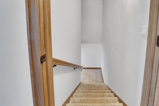stairway featuring carpet