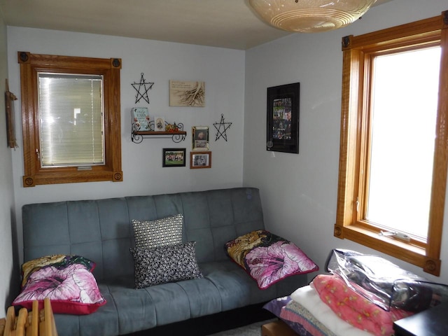 10621 Cth F, Newton, WI 53063 - view of living area