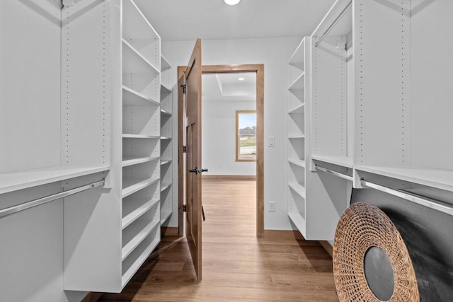 spacious closet with wood finished floors