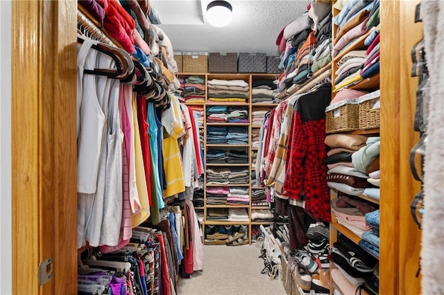 spacious closet with carpet flooring