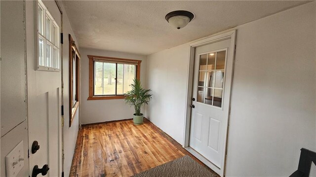 10039 State Highway 27, Hayward, WI 54843 - interior space