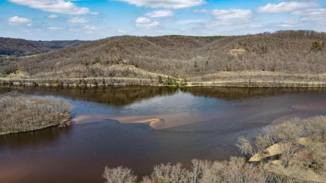 26297 State Highway 60, Lone Rock, WI 53556 - water view with a forest view and a mountain view