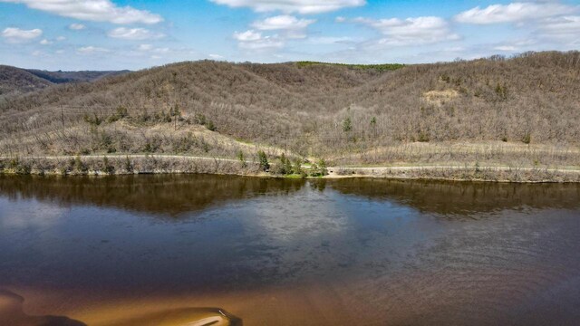 26297 State Highway 60, Lone Rock, WI 53556 - property view of water with a mountain view