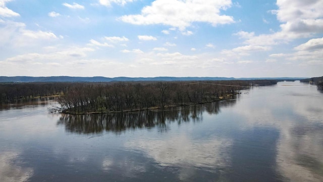 26297 State Highway 60, Lone Rock, WI 53556 - water view with a forest view
