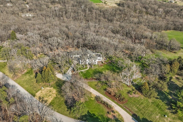 aerial view