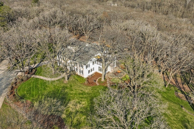 bird's eye view