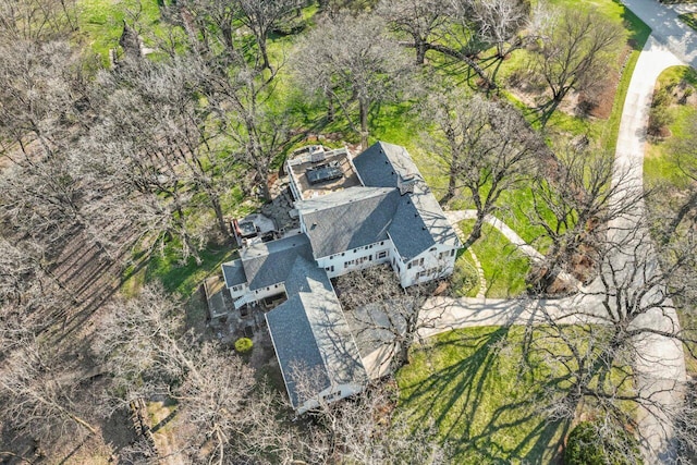 bird's eye view