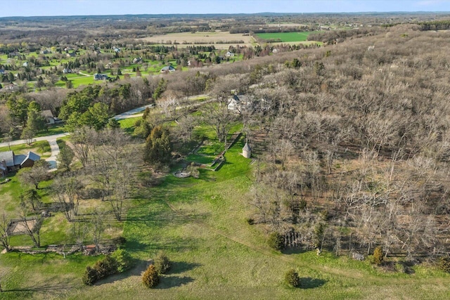 drone / aerial view