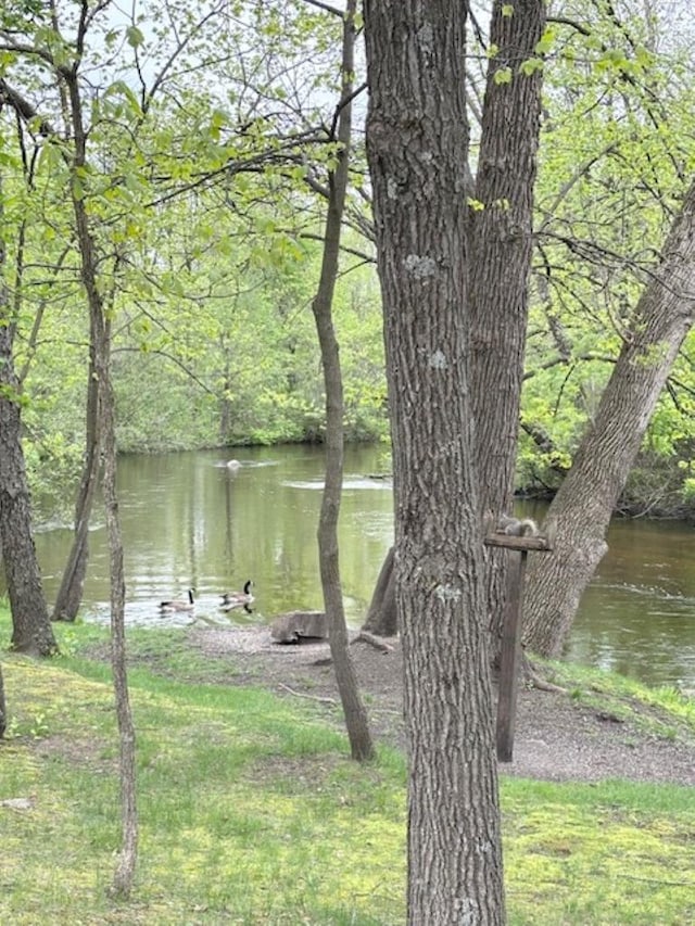 5021 Margaret Dr, Amherst, WI 54406 - water view