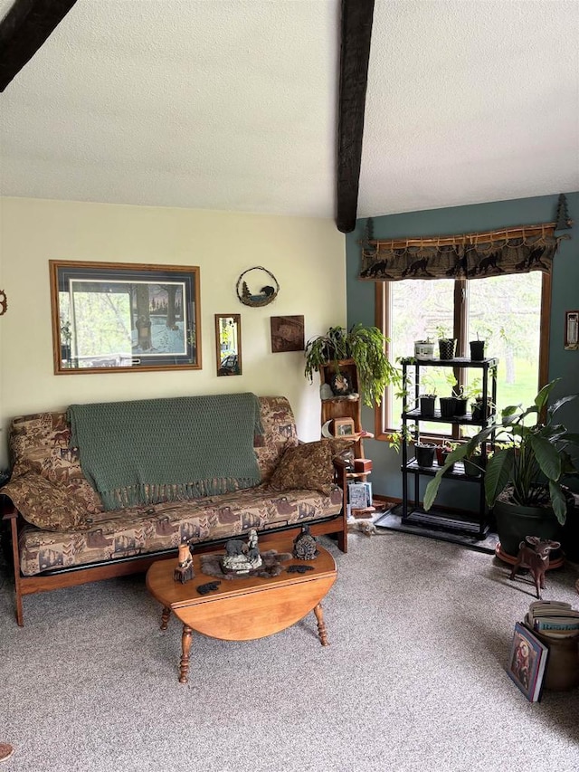 5021 Margaret Dr, Amherst, WI 54406 - living room with carpet flooring, a textured ceiling, and beam ceiling