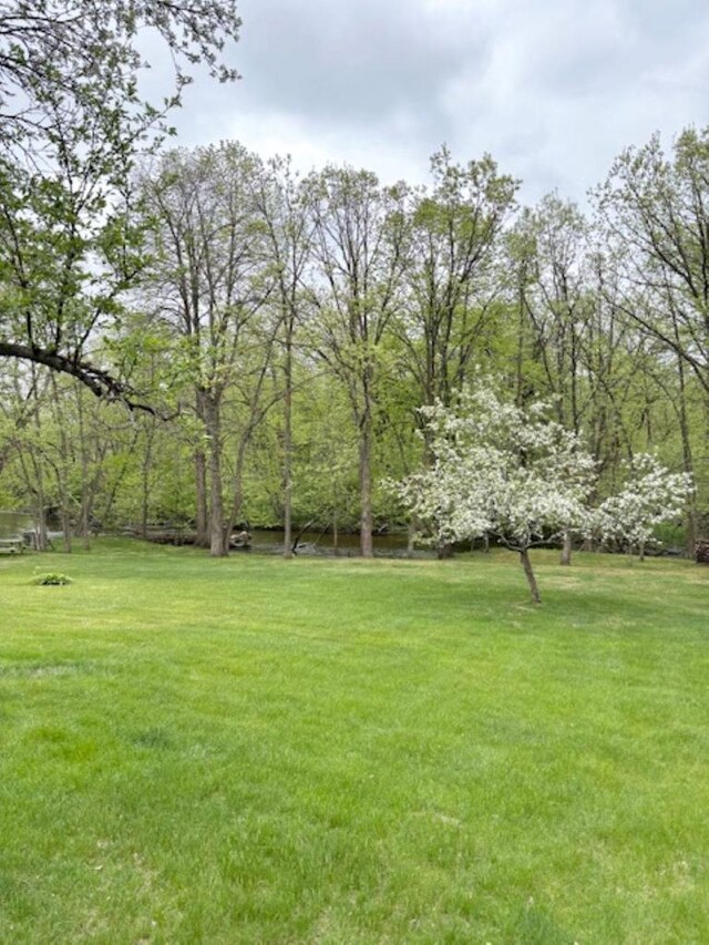 5021 Margaret Dr, Amherst, WI 54406 - view of green lawn