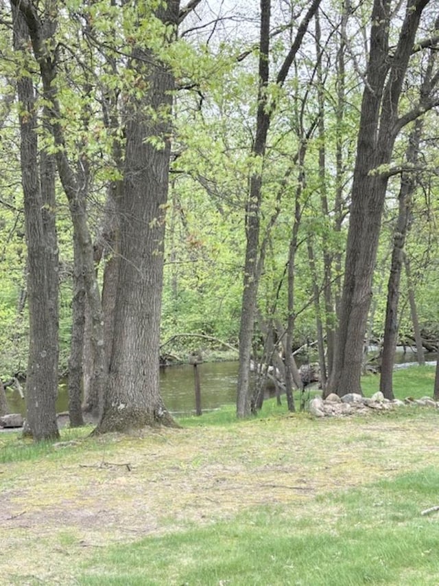 5021 Margaret Dr, Amherst, WI 54406 - view of yard featuring a forest view