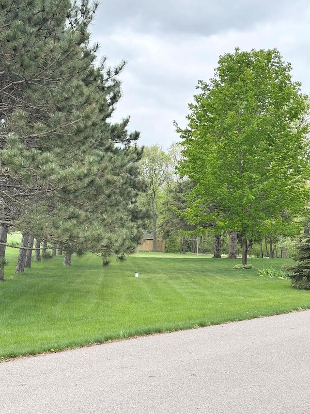 5021 Margaret Dr, Amherst, WI 54406 - view of street