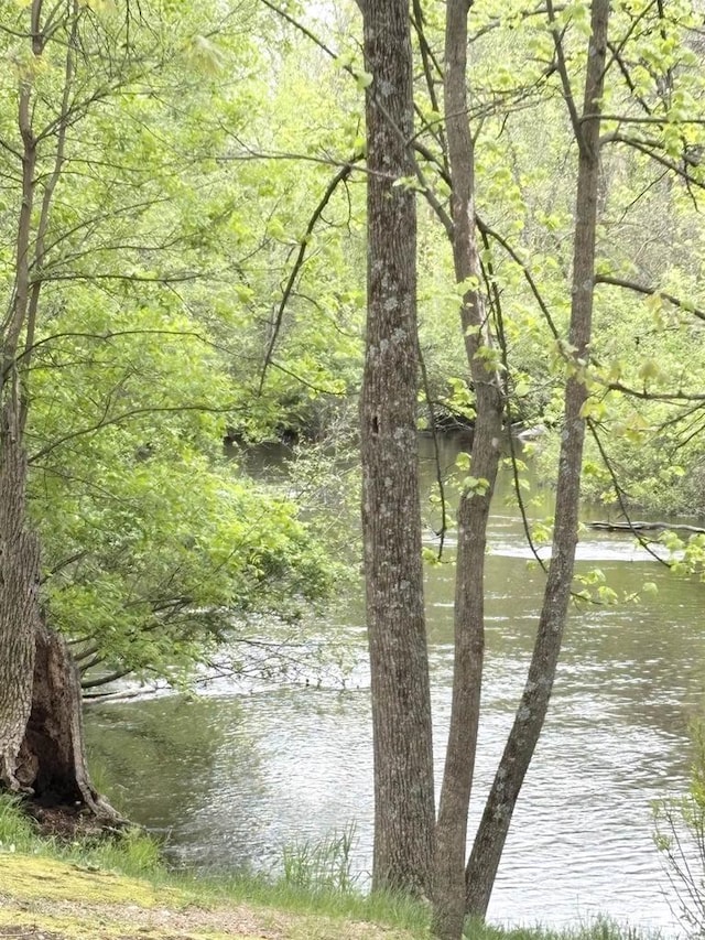 5021 Margaret Dr, Amherst, WI 54406 - water view with a heavily wooded area
