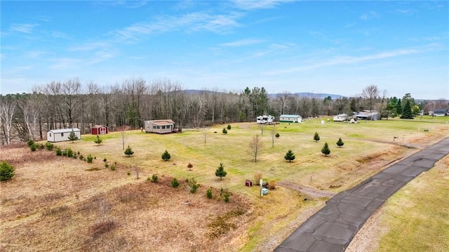 view of yard with a rural view, an outdoor structure, a forest view, and a storage unit