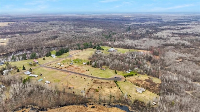 bird's eye view with a forest view