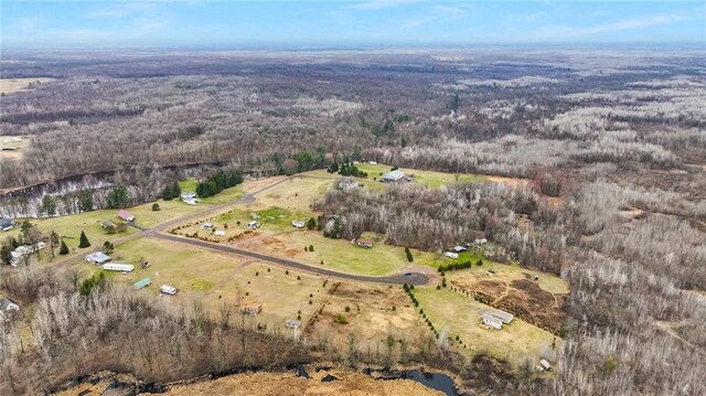 bird's eye view with a forest view