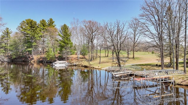 view of dock with a water view