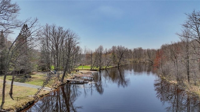 property view of water featuring a forest view and a dock