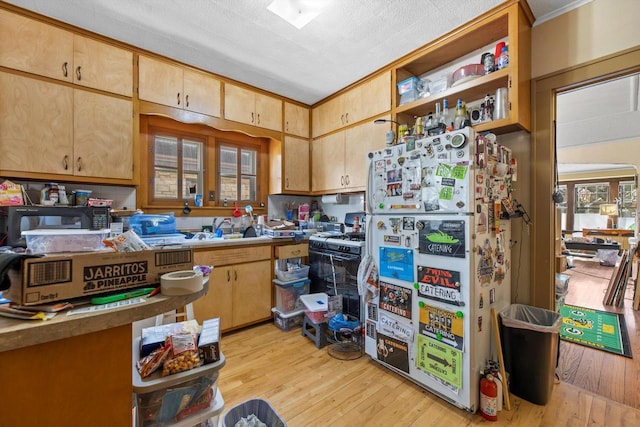 2562 N 68th St Unit 2564, Wauwatosa, WI 53213 - kitchen with freestanding refrigerator, light wood-style flooring, a sink, open shelves, and light countertops