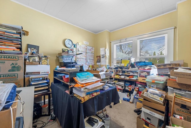 2562 N 68th St Unit 2564, Wauwatosa, WI 53213 - carpeted office with ornamental molding