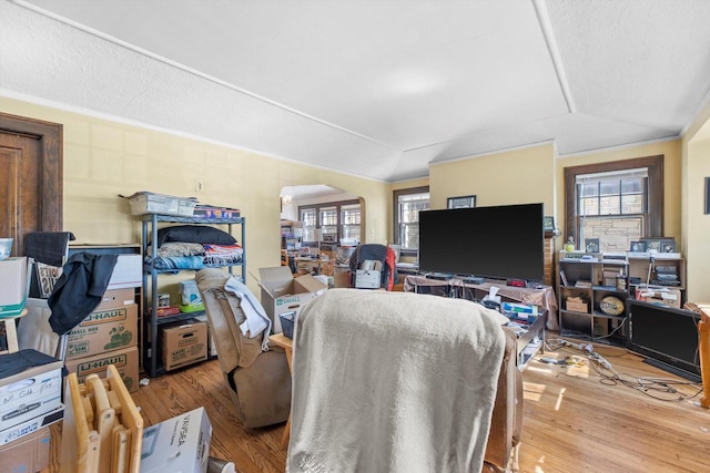 2562 N 68th St Unit 2564, Wauwatosa, WI 53213 - living area featuring wood finished floors, plenty of natural light, vaulted ceiling, and arched walkways
