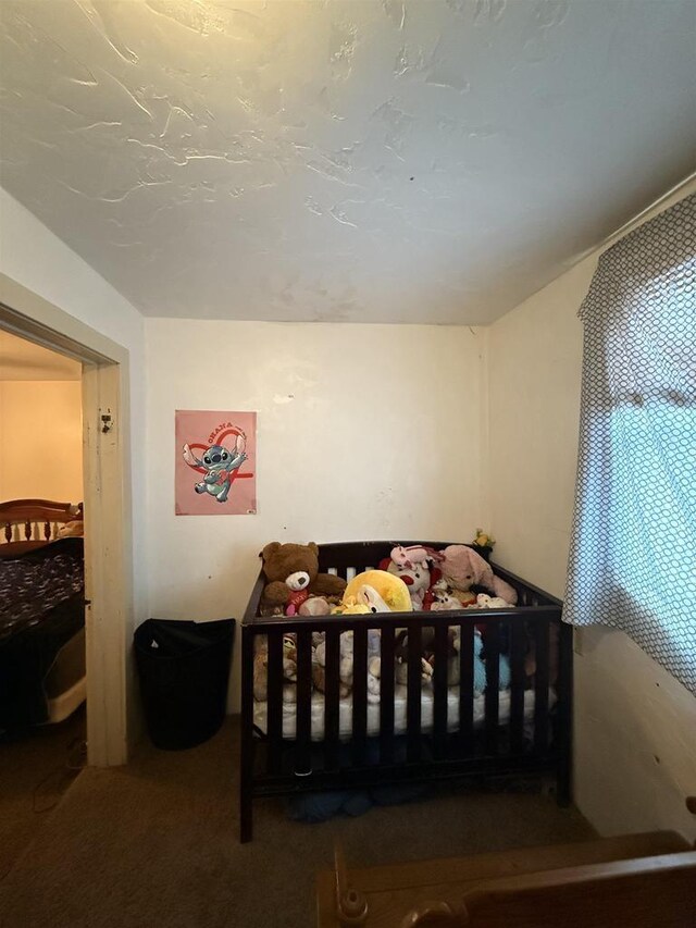 904 Elm St, Beloit, WI 53511 - bedroom with carpet flooring and a crib